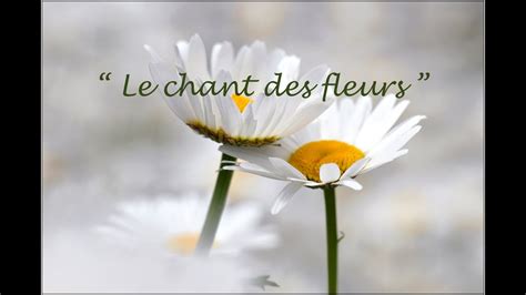  Le Chant des Fleurs Rouges -  Un Trésor Mystique de Formes Abstraites et Couleurs Vibrantes!